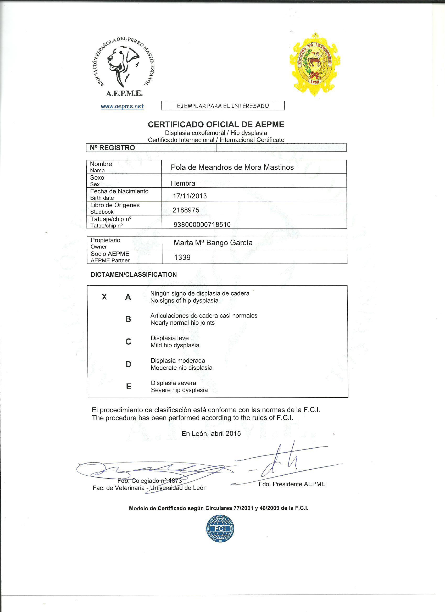 Mastín Español. Pola De Meandros Del Nora Mastinos.