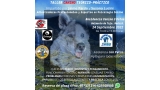 Taller canino Teórico Práctico 24 de Septiembre de 2022 Taller canino Teórico Práctico 24 de Septiembre de 2022