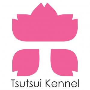 Akita inu Tsutsui Kennel