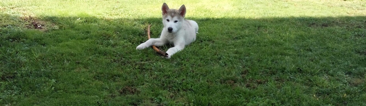 La belleza no mira  sólo es mirada.