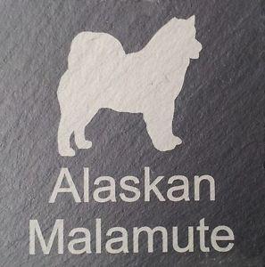 ARES  ?Alaskan Malamute?.