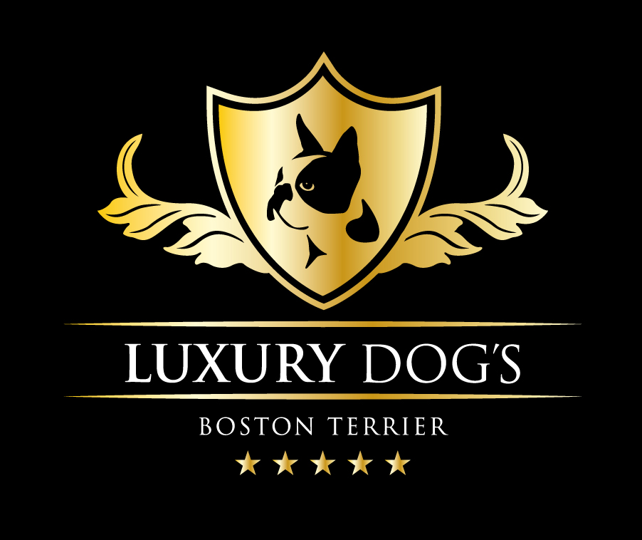 Cría y Alta Selección de Boston Terriers