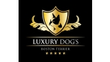 Cría y Alta Selección de Boston Terriers