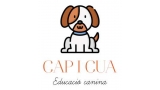 Logo de Capicua