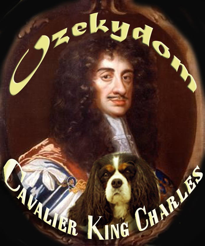 No vivimos de los perros  si no para ellos