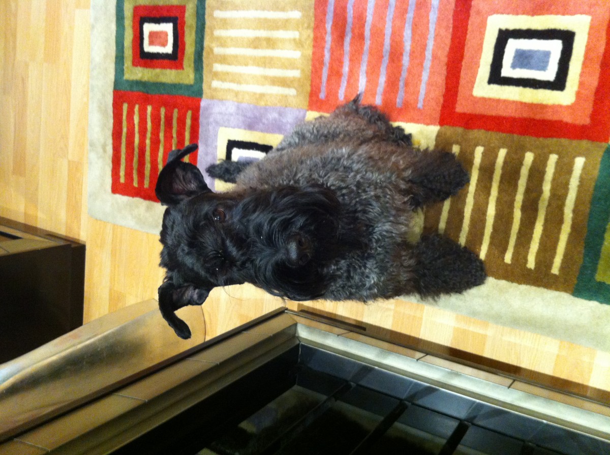 Furia Española con cara de no romper un plato