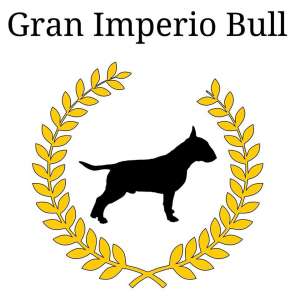 Gran Imperio Bull