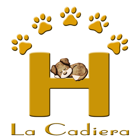 Te costará encontrar un sitio mejor donde dejar a tu perro