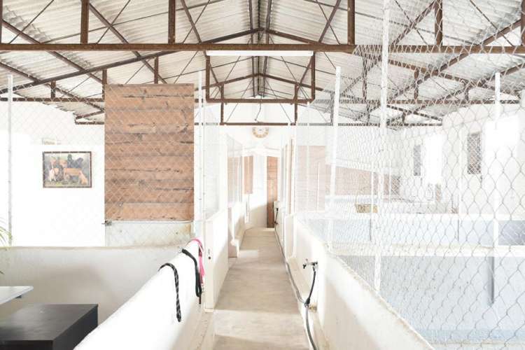 Hotel Rural Canino La Cadiera. Residencia Canina en Avila