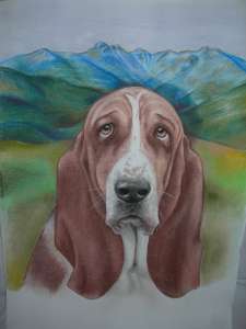 LAS DEHESAS DE 7 PICOS LAS DEHESAS DE 7 PICOS