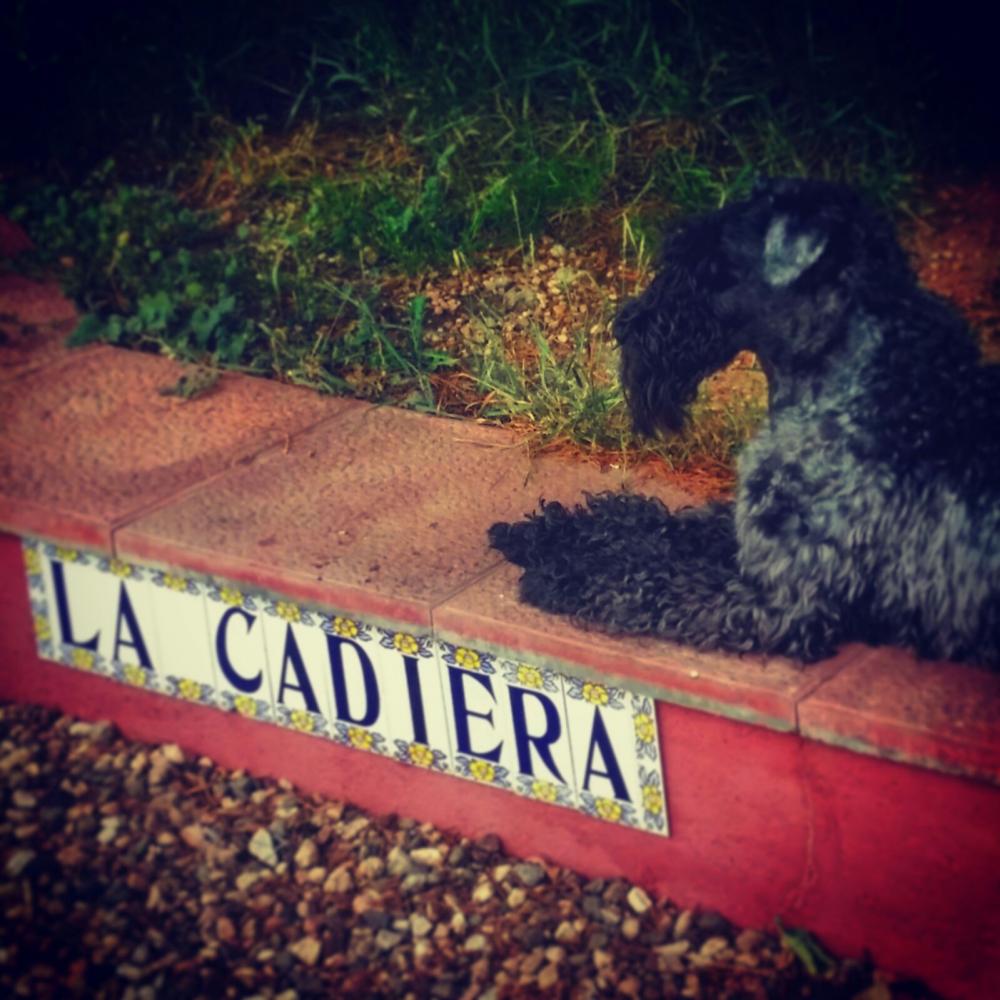 Vin Diesel de La Cadiera