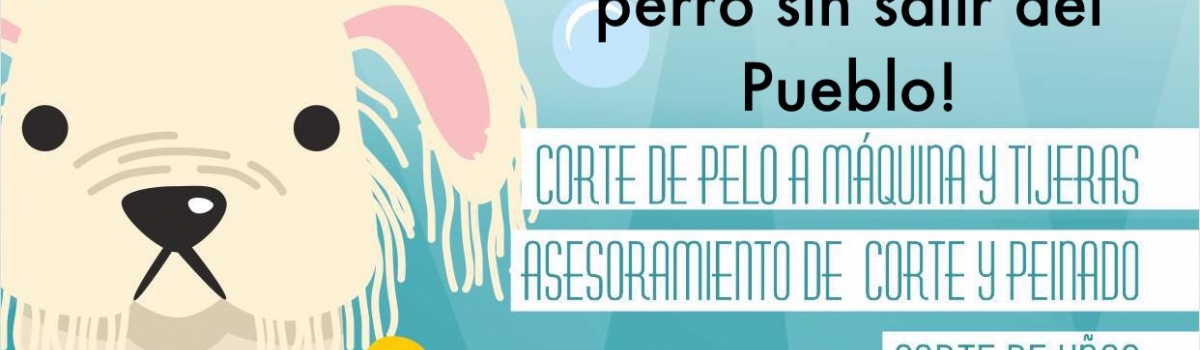 Nudos Peluquería Canina