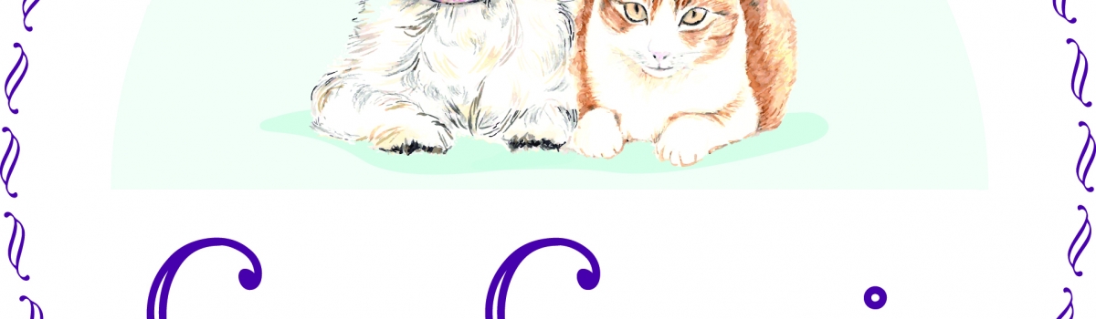 Veterinario Pamplona