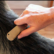 T茅cnica de Stripping T茅cnica de Stripping